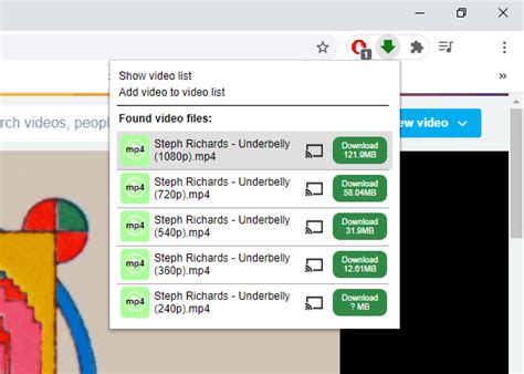 all video downloader professional chrome